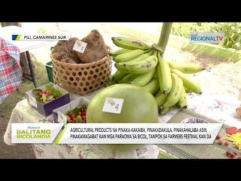 Balitang Bicolandia: Mga ‘pinaka’ na Agricultural products, tampok sa Farmers Festival