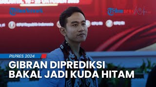 Gibran Diprediksi Bakal Jadi Kuda Hitam saat Debat Cawapres, Pengamat: Diragukan Tapi Mengagumkan