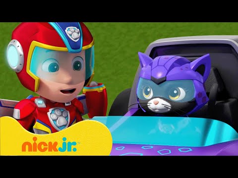 Capa de Patrulha Canina | Novas Parcerias com a Turma dos Gatos e a Mini Patrulha! | Nick Jr. em Português