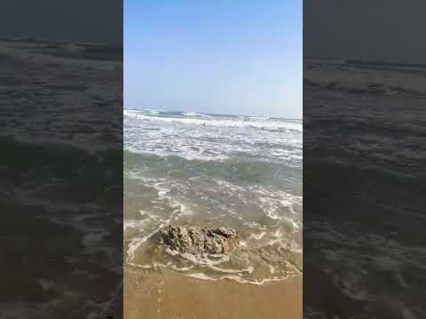 sounds of the shore.....