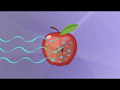 How X rays see through your skin