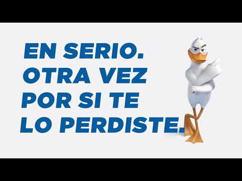 thumbnail video image 2 of Limpiador líquido Pato para sanitarios pino en gel 500 ml, 2 of 5