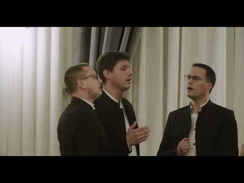 Klapa Stine - Jedva čekam tamne noći