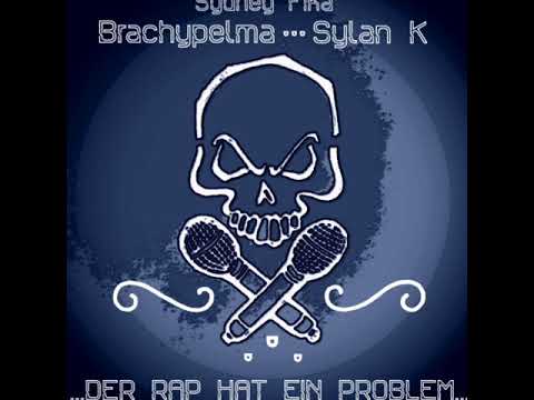 Brachypelma & Sylan K. - Houston - ( Beat by Sydney Fíka )