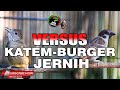 KAPAS TEMBAK VS GEREJA GACOR TARUNG TUNGGAL JERNIH COCOK UNTUK MASTERAN BURUNG MURAI BATU CUCAK IJO