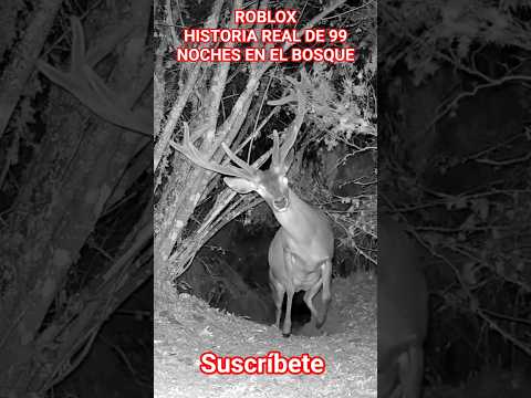 ROBLOX. HISTORIA REAL DE 99 NOCHES EN EL BOSQUE.