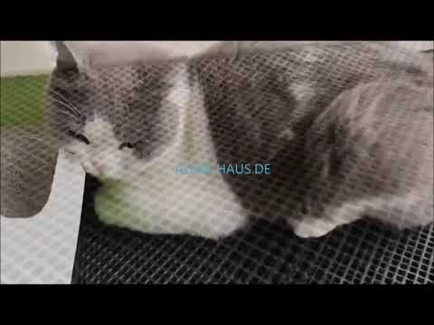 Doppellagig😍 Sauber😍 Ungiftig😍 Für maximale Hygiene rund ums stille Örtchen deiner Samtpfote!🐈