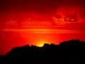 Haroula Rose - Close My Eyes To See 