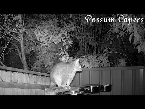 Raylene Has Such A Pretty Face