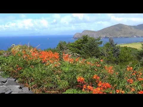 Valentia Island and Skellig Michael
