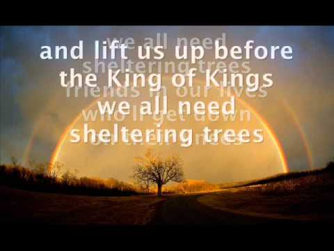 Thumbnail for Sheltering Trees video