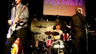 BuZZcocks in Carlisle Sound of a gun.