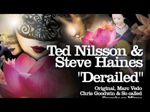 Ted Nillson & Steve Haines - Derailed (So Called Scumbags Remix)