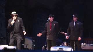 Sleepwalk - Angel Baby, Kenny Vance & The Planotones