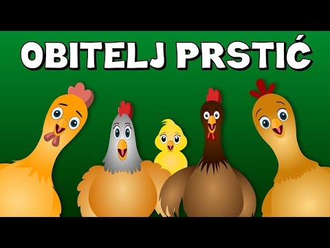 Obitelj Prstić -  PILIĆI i mnoge druge | Finger family rhymes