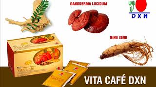 GANODERMA LUCIDUM VITA CAFÉ 6 EN 1, PARA QUÉ SIRVE