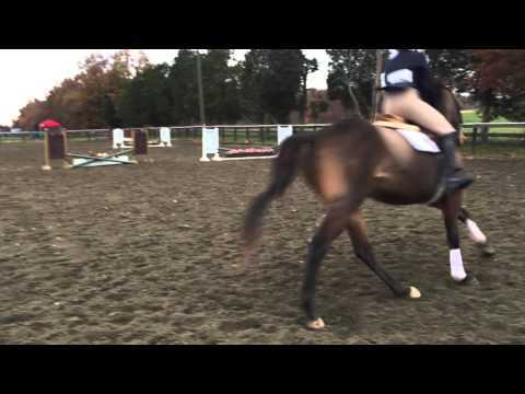 WESP Stone Gate Callan Shore OF 1st Place