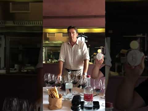 Marco Ferrarese e le annate di Matarocchio Antinori  a Guado al Tasso