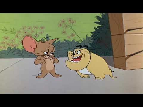 Tom & Jerry Classic Cartoon The Cats Me Ouch