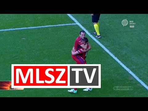 Lazovic Danko gólja a Puskás Akadémia FC - Videoton FC mérkőzésen