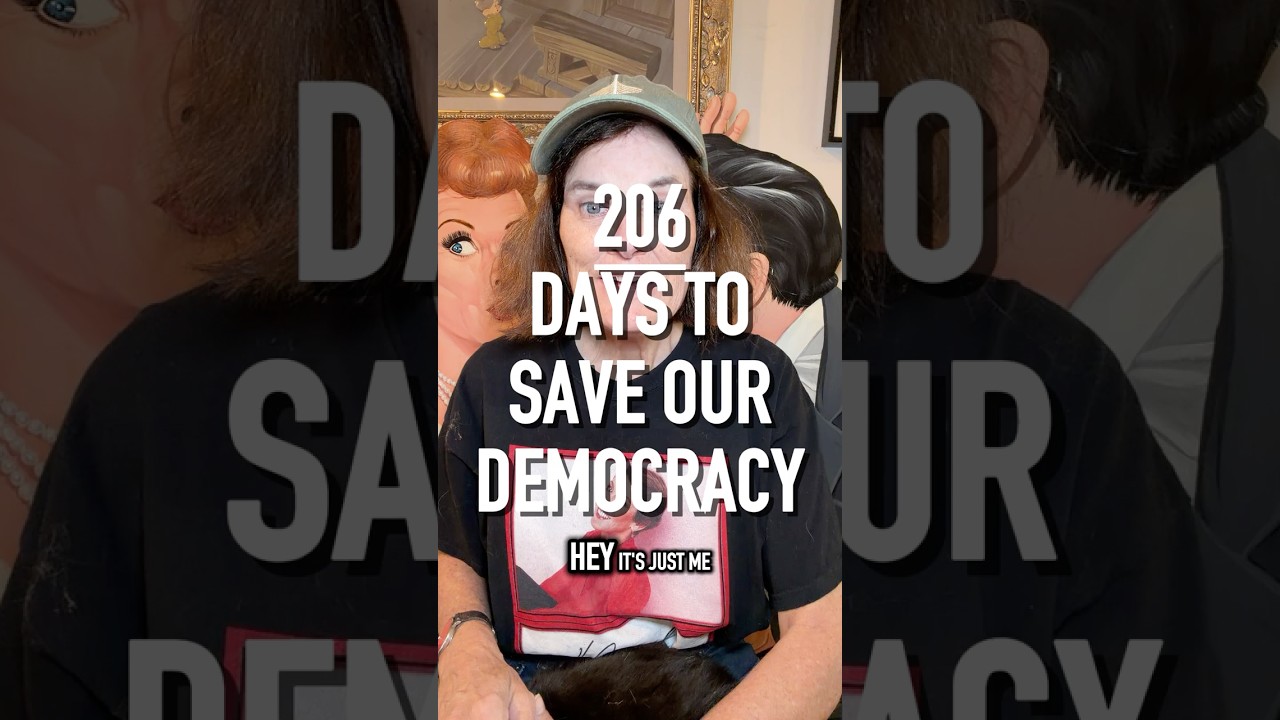 Make the Sign | 206 Days to Save our Democracy | Paula Poundstone