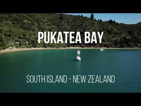 Pukatea Bay near Portage - South Island - New Zealand