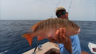 Bimini Bahamas Fishing For Snapper and Grouper Offshore