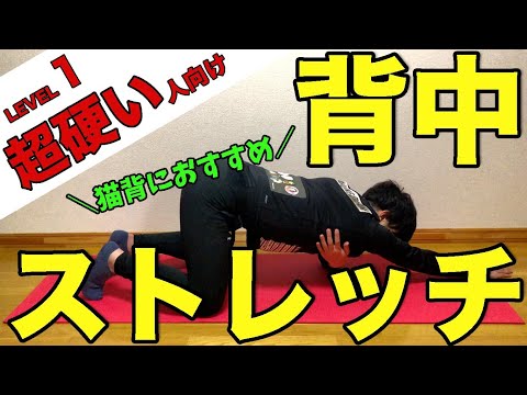 猫背が気になる人の背中・脇まわりストレッチ プレビュー