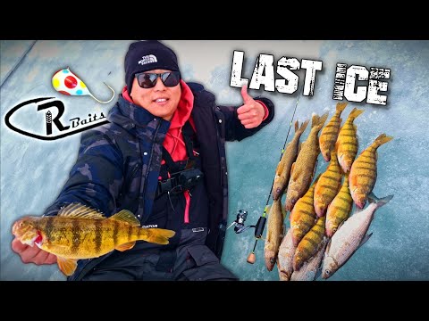 The Final Dance - March Madness Last Ice Fishing Mission Lake (walleye Perch Cisco)