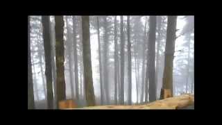 preview picture of video 'Eco Park Dhanaulti Uttarakhand | Tourist hill station in India'
