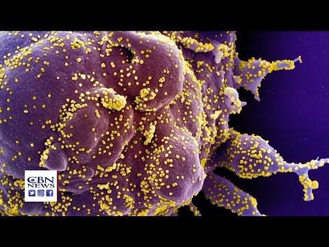 CBN NewsWatch PM: April 30, 2020