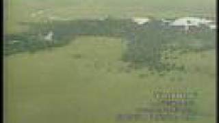 "Green Heart" by Nilson Matta