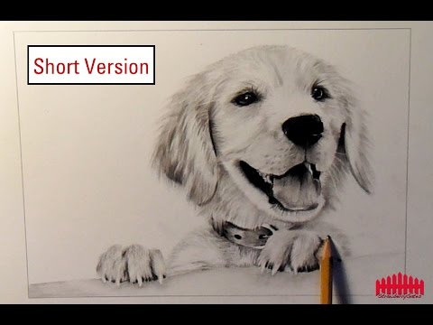 Pencil Drawing: Dog #1 (How to draw fur) - Short Version ...