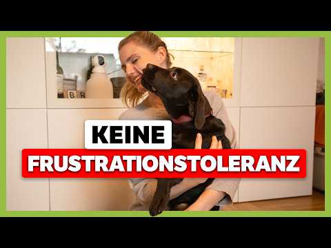 Deckentraining für mehr Frustrationstoleranz: Welpe Tilda bleibt nicht auf der Decke | Live-Training