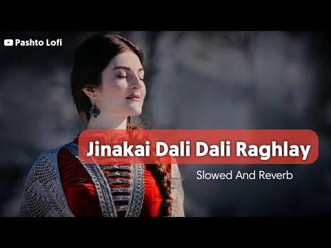 Jinakai Dali Dali Raghlay [ Slowed+Reverb ] Musarrat Momand & Urooj Momand | Pashto Lofi