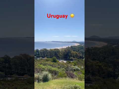 Maldonado ,25 /11 #2025