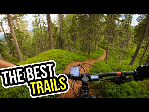 The BEST TRAILS In Trysil - THAT MOST MISS OUT ON!