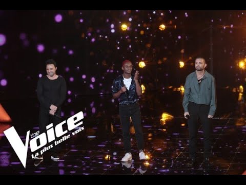 Michel Berger - La groupie du pianiste - David Lempell VS Lleeroy VS Jérôme Sebag | The Voice...