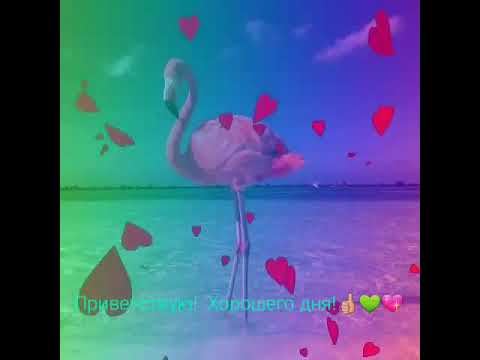 Приветствие! Хорошего дня! 💖👍💚👌