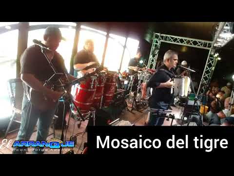 Se que llorarás Mosaico del Tigre Jhonathan Chavez