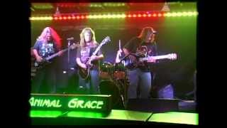 ANIMAL GRACE - Riff&#39;d And Loaded! - TEASER