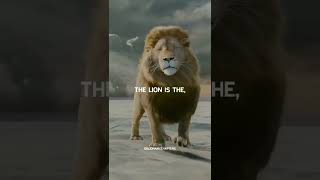lion 🦁attitude💯😎 whatsApp status🔥🔥#