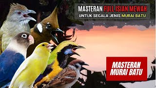 Download lagu MASTERAN MURAI BATU FULL ISIAN TEMBAKAN MEWAH mp3