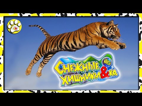 Прыжок ТИГРА Снежные ХИЩНИКИ Деагостини