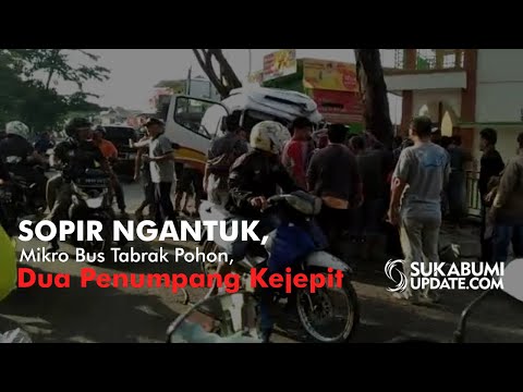 Video: Sopir Ngantuk, Mikro Bus Tabrak Pohon, Dua Penumpang Kejepit