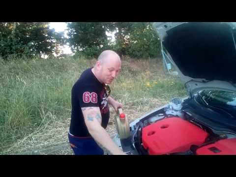 Colcer fanel. Zavoaia