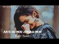 🎧Slowed and Reverb Songs | Aaye Ho Meri Zindagi Mein | RAJIB 801