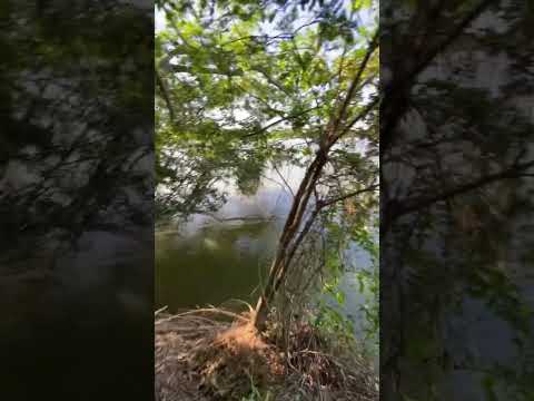 Rio das mortes estado do Mato Grosso região da cidade de Ribeirão Cascalheira