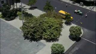 Tráiler de Orfeo Negro