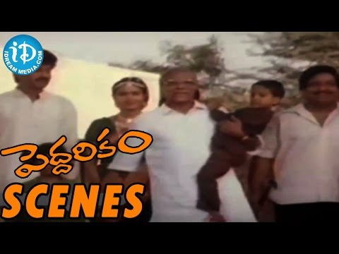 Peddarikam Movie - Climax Scene || Jagapathi Babu || Sukanya || NN Pillai || AM Rathnam